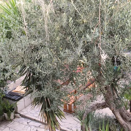 Antonio - Two Bedroom With Terrace F Apartment