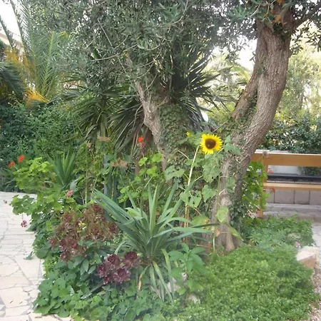 Apartman Antonio - Two Bedroom With Terrace F *